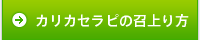 カリカセラピの召し上がり方